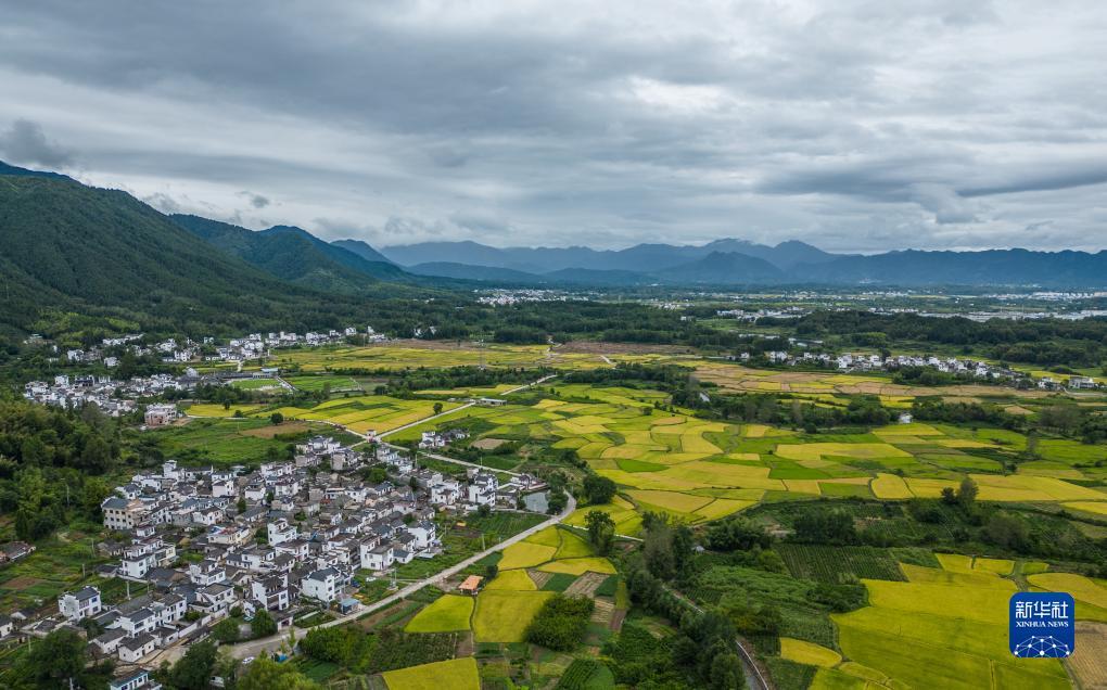 博狗平台